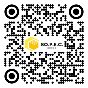 DE 016