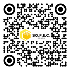 DE 019