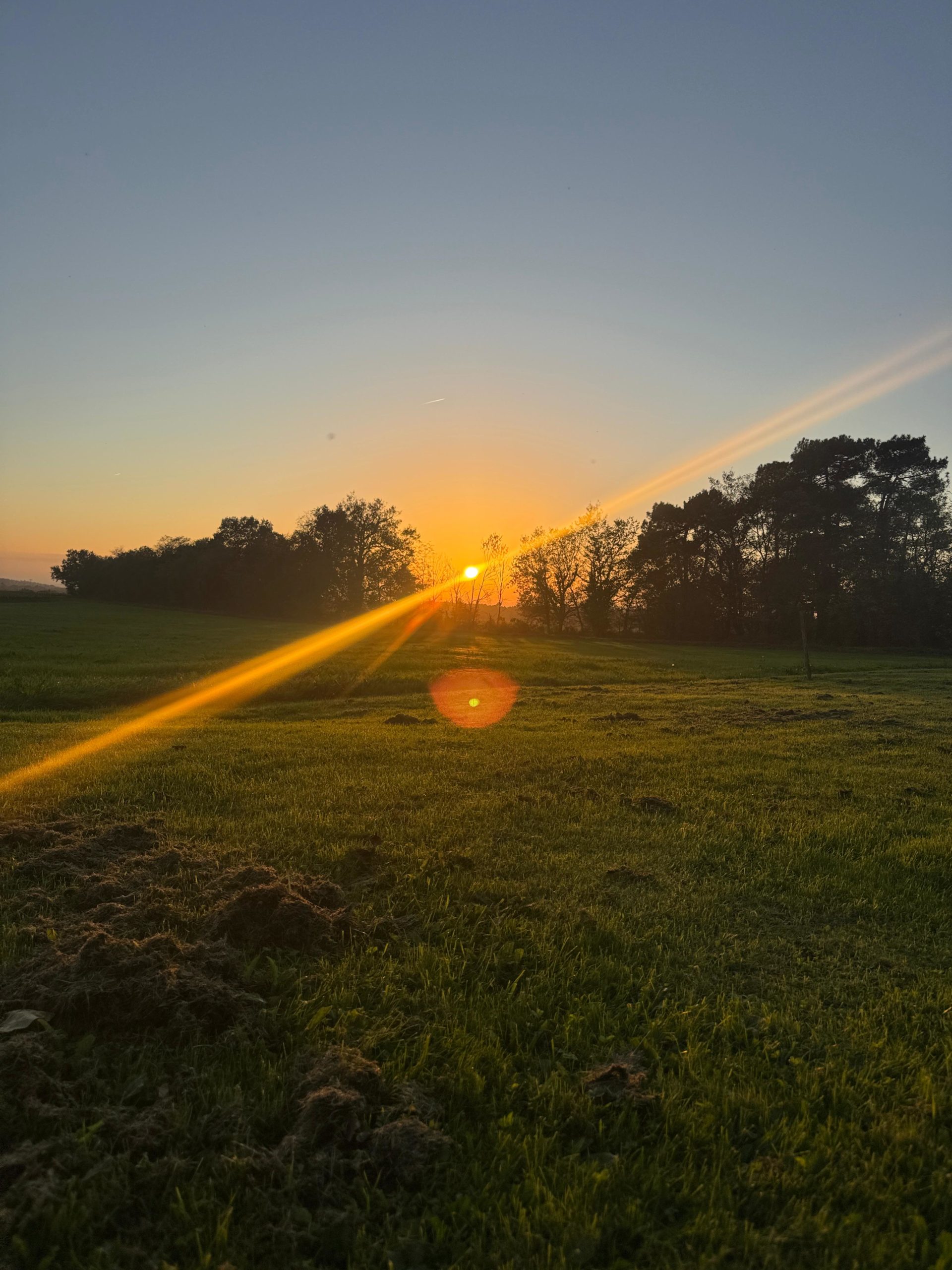 formation cordiste IRATA en France  – CI.DES