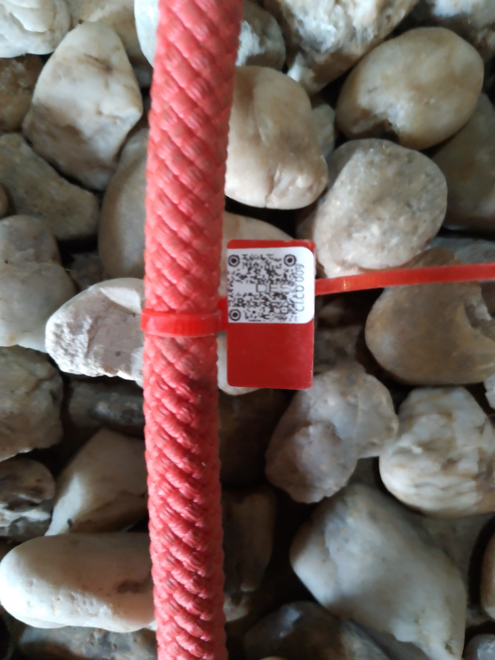 IMG 20230914 104131 4511 scaled e1694681046639