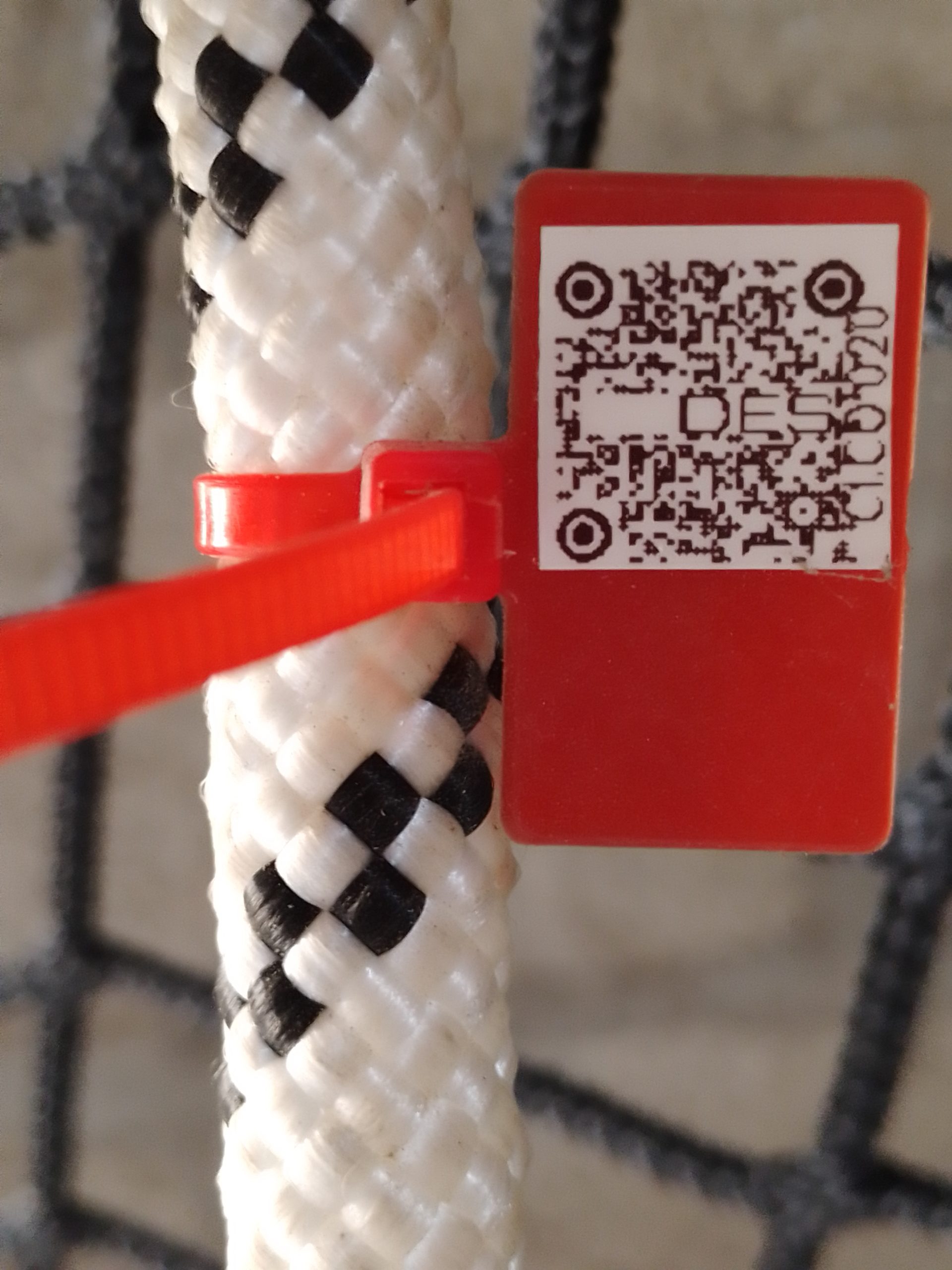 IMG 20230914 170615 832 scaled