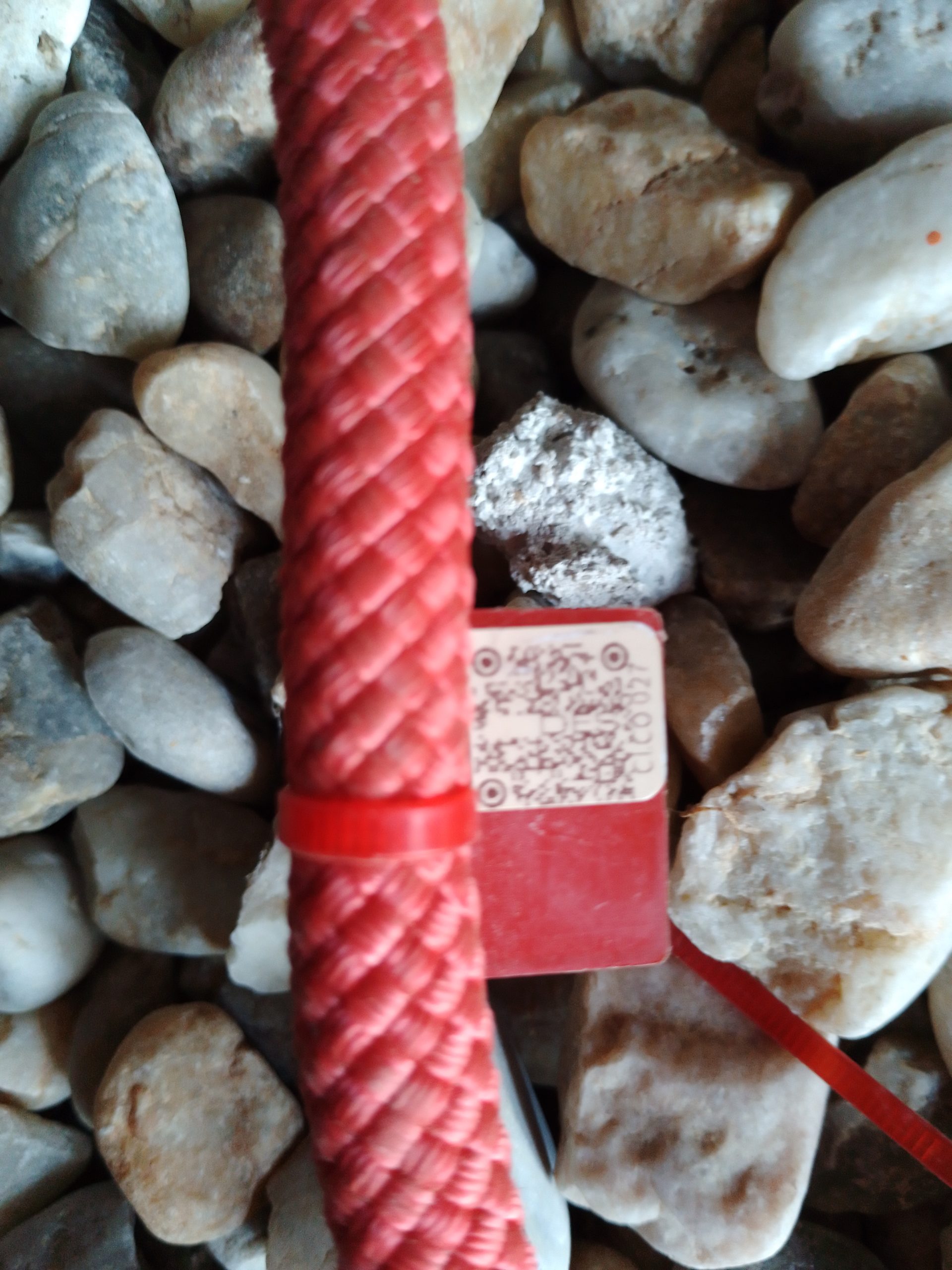 IMG 20230914 172254 379 scaled