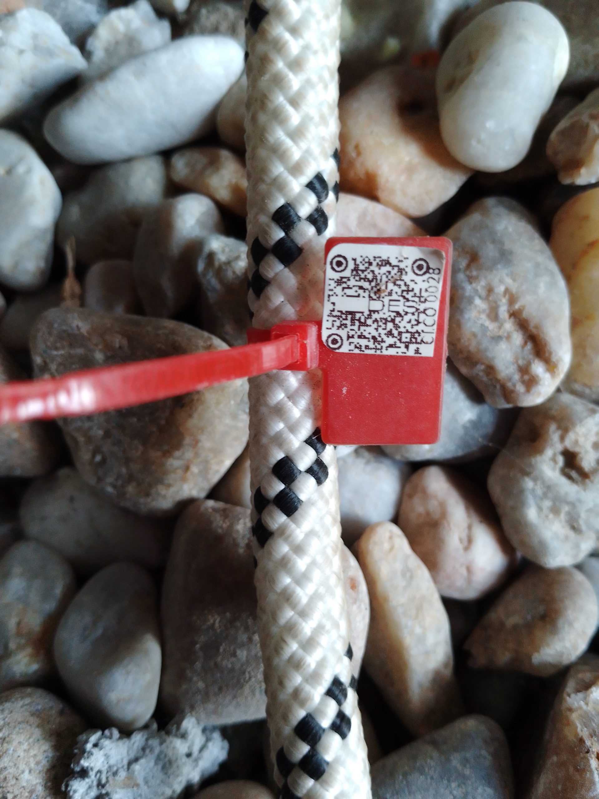 IMG 20230914 172300 898 scaled