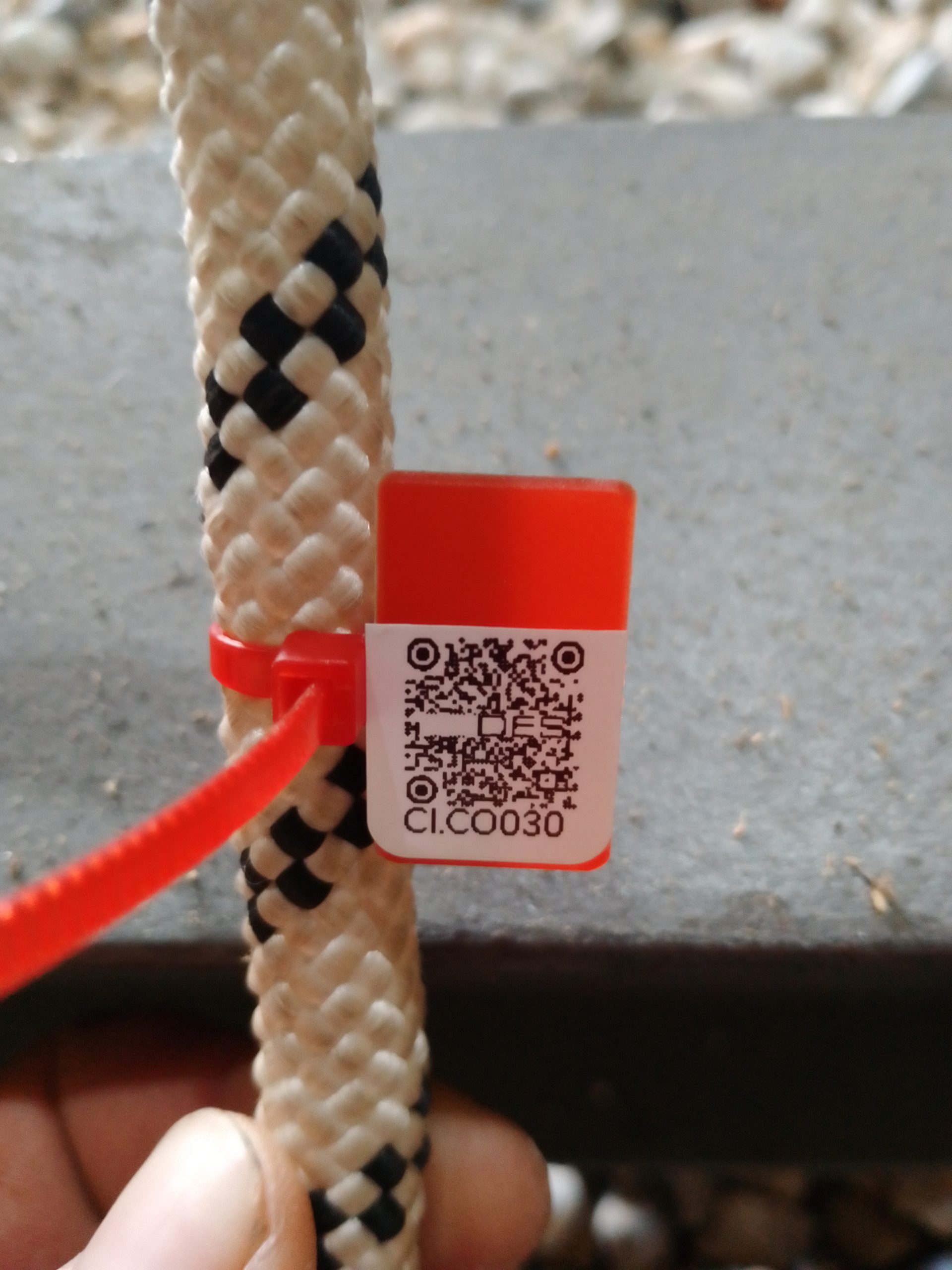 IMG 20230914 172350 774 scaled