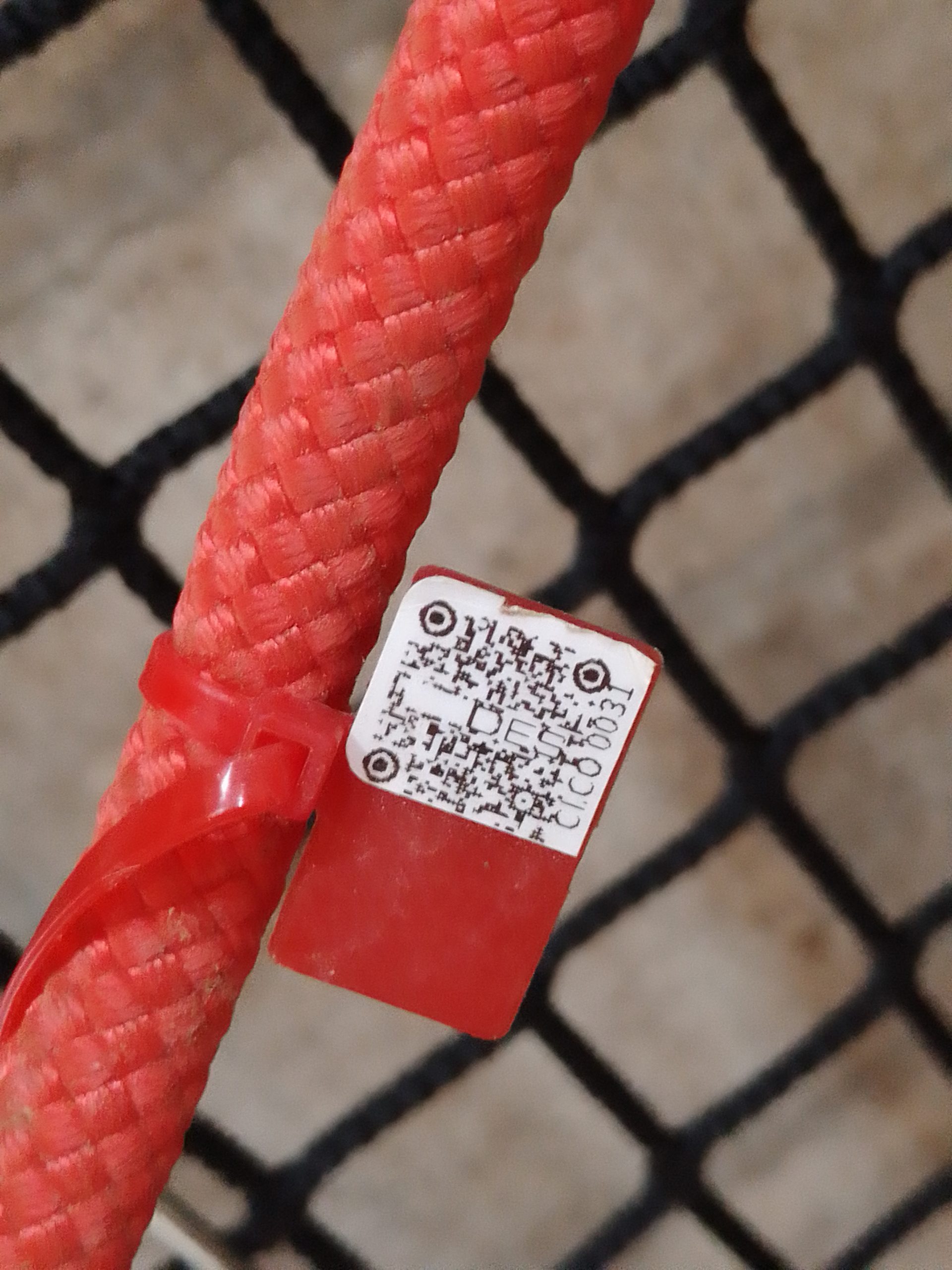 IMG 20230914 172523 781 scaled