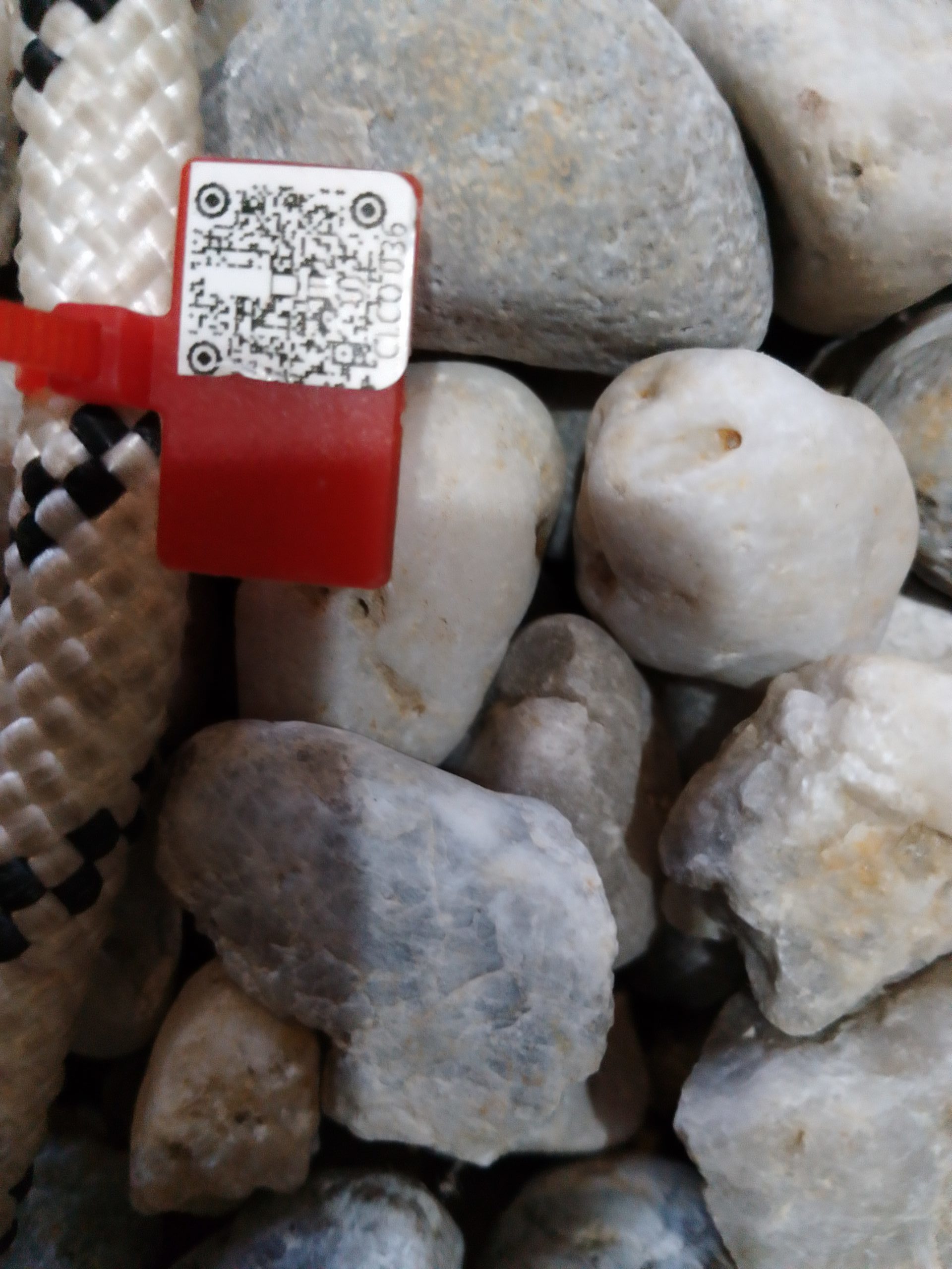 IMG 20230918 075332 2381 scaled e1695020839846