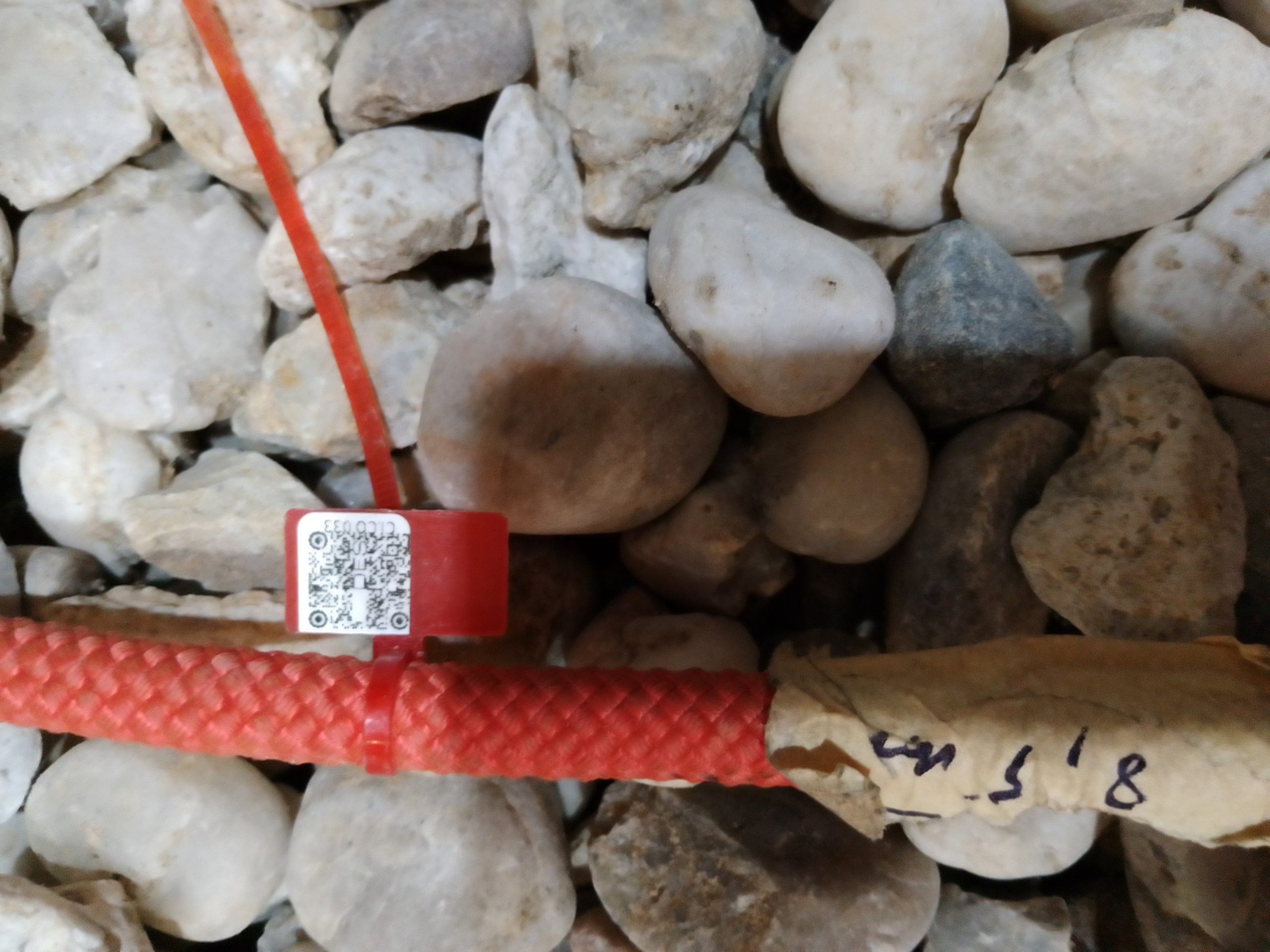 IMG 20230918 082841 9471 scaled